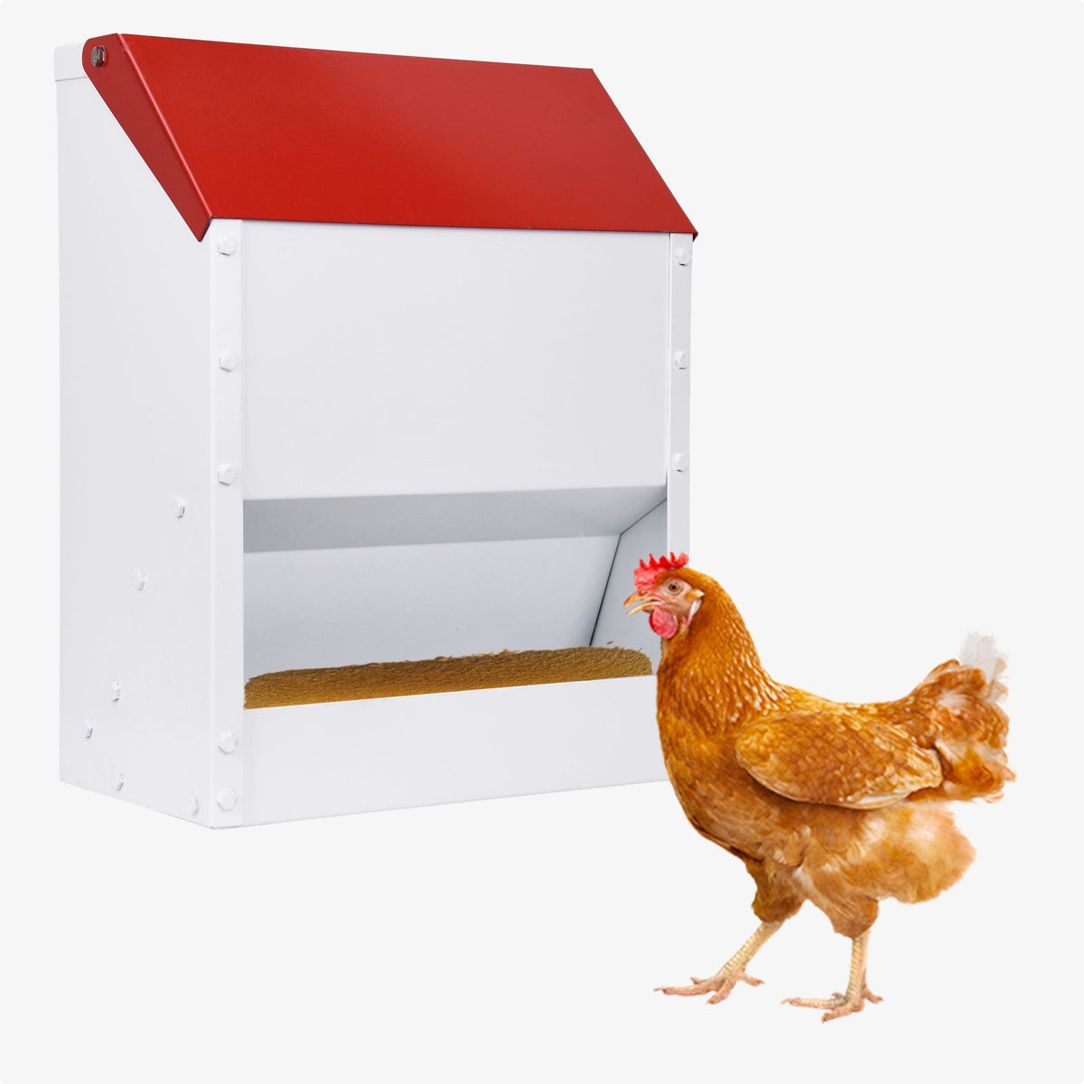 Wall Mounted Chicken Feeder with Cover, Galvanized Metal Gravity Poultry Food Dispenser for Backyard Coops, Chicken, Duck and Quail Feeding