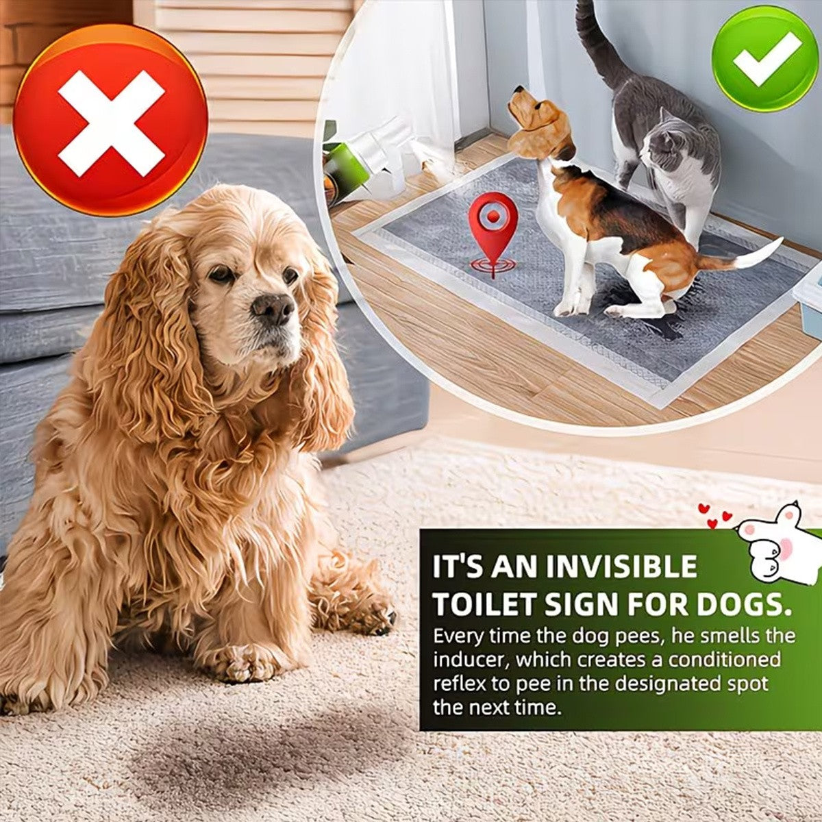 Pet Potty Training Spray for Indoor Puppy and Kitten House Training, Toilet Routine Support for New Pet Owners with 1 or 2 Piece Options