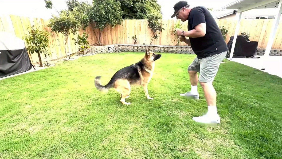 Dog Chew Toys for Large Dogs, Red Nylon Toys for Supervised Chewing and Everyday Play, Available in 1, 2 or 4 Piece Pack Options