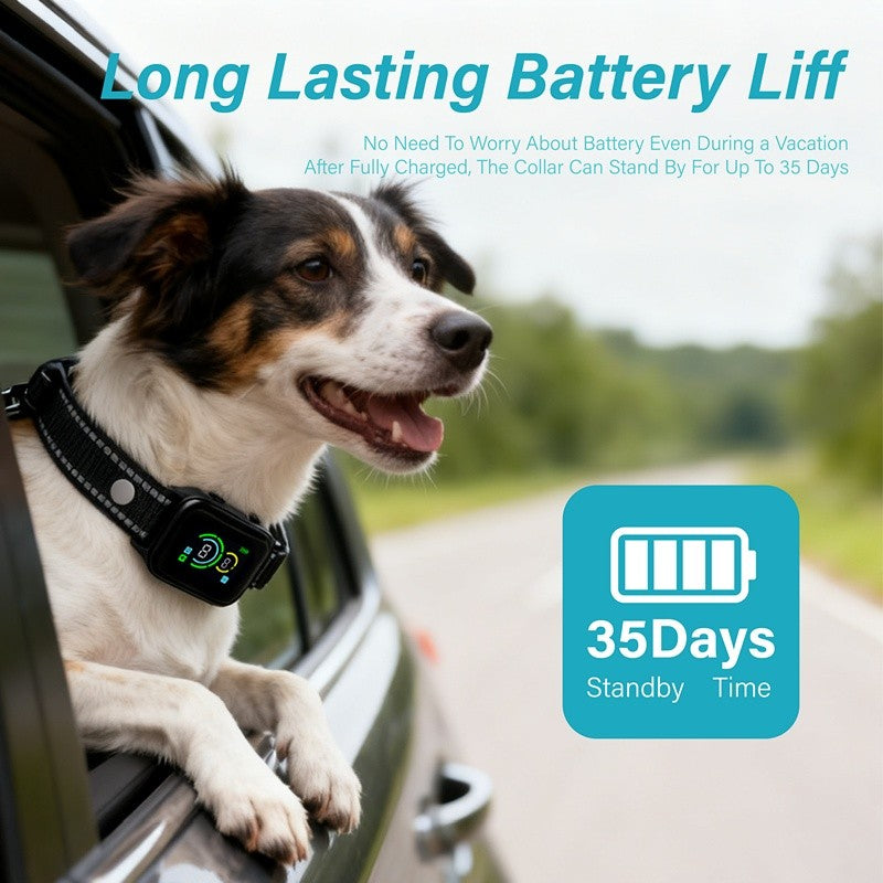 USB No Shock Bark Collar for Dogs, Nylon Electronic Bark Control Training Collar in 1 or 2 Pack Options for Owner-Supervised Training Routines