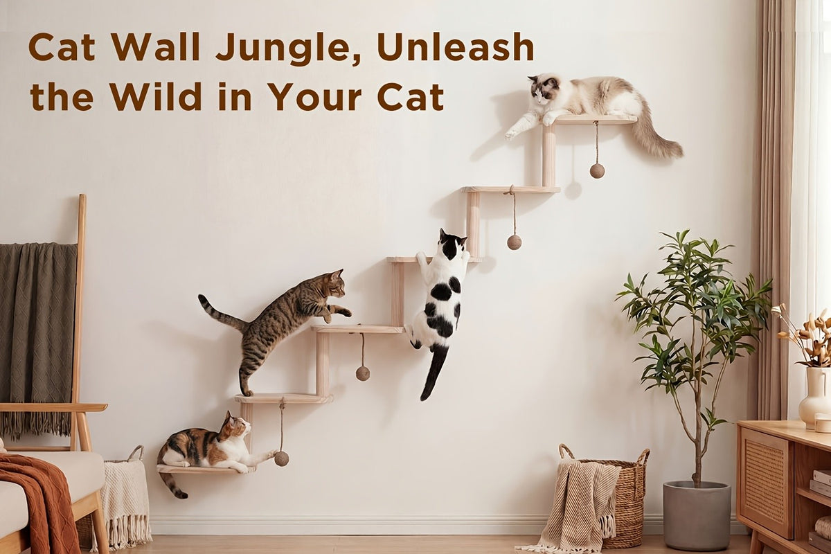 Modular Cat Wall Shelves 6-Piece Set with 5 Toy Balls, DIY Wall-Mounted Cat Tree Furniture for Indoor Climbing, Resting and Scratching