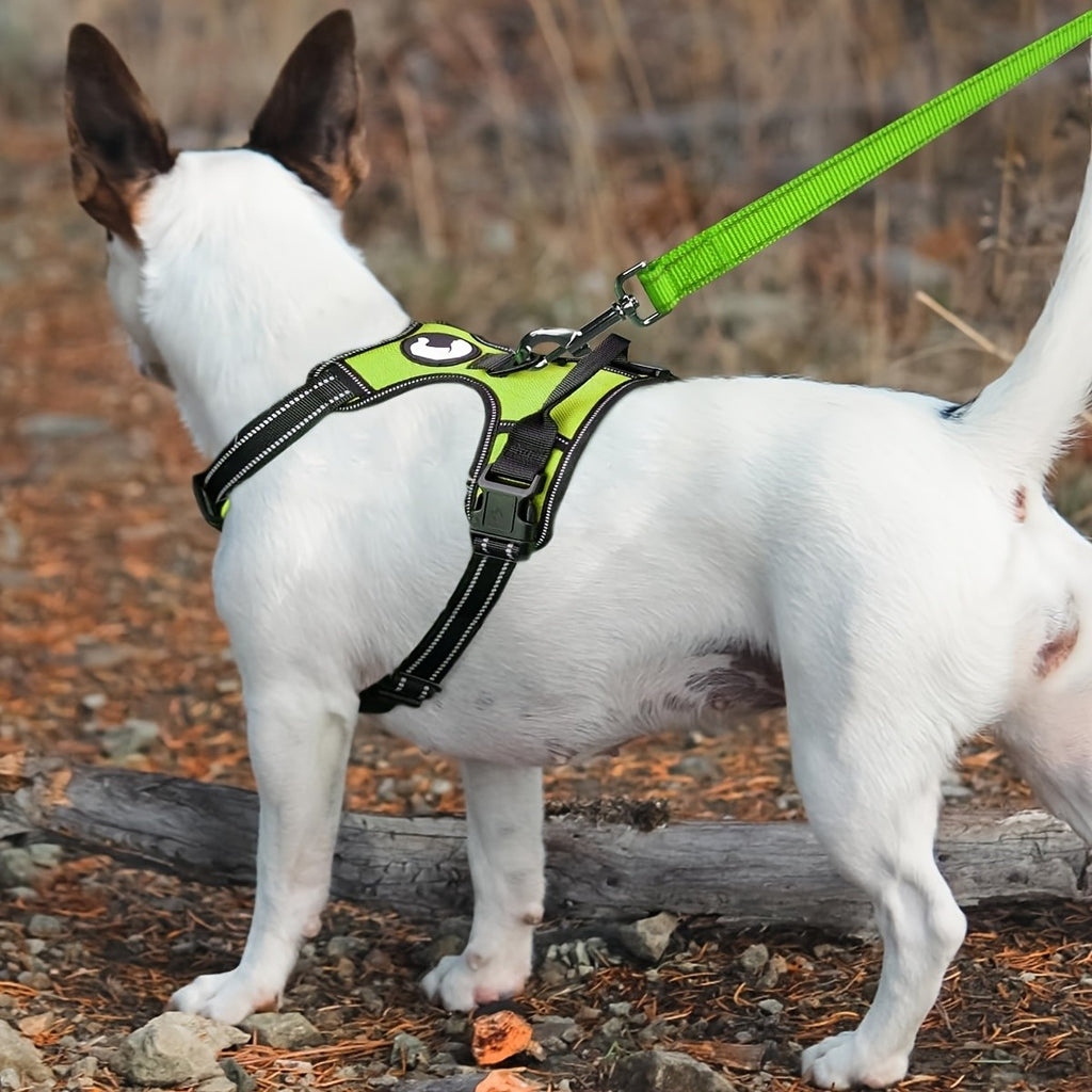 5 Foot Reflective Dog Leash with Padded Handle, 1 Inch Wide Flat Walking Lead for Medium and Large Dogs, Daily Walks and Training in Six Colors