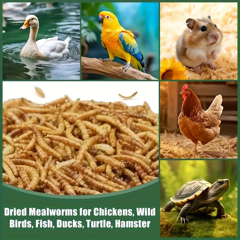 Dried Black Soldier Fly Treats 17.99oz, Larvae Snacks Listed for Chickens, Ducks, Birds and Hamsters, Supplemental Insect Feed for Animal Care