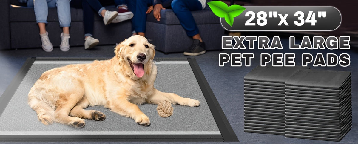 Charcoal Puppy Pads for Odor Control, Extra Large 28 x 34 Inch Disposable Dog Pee Pads with Leak-Proof Design for Indoor Potty Training
