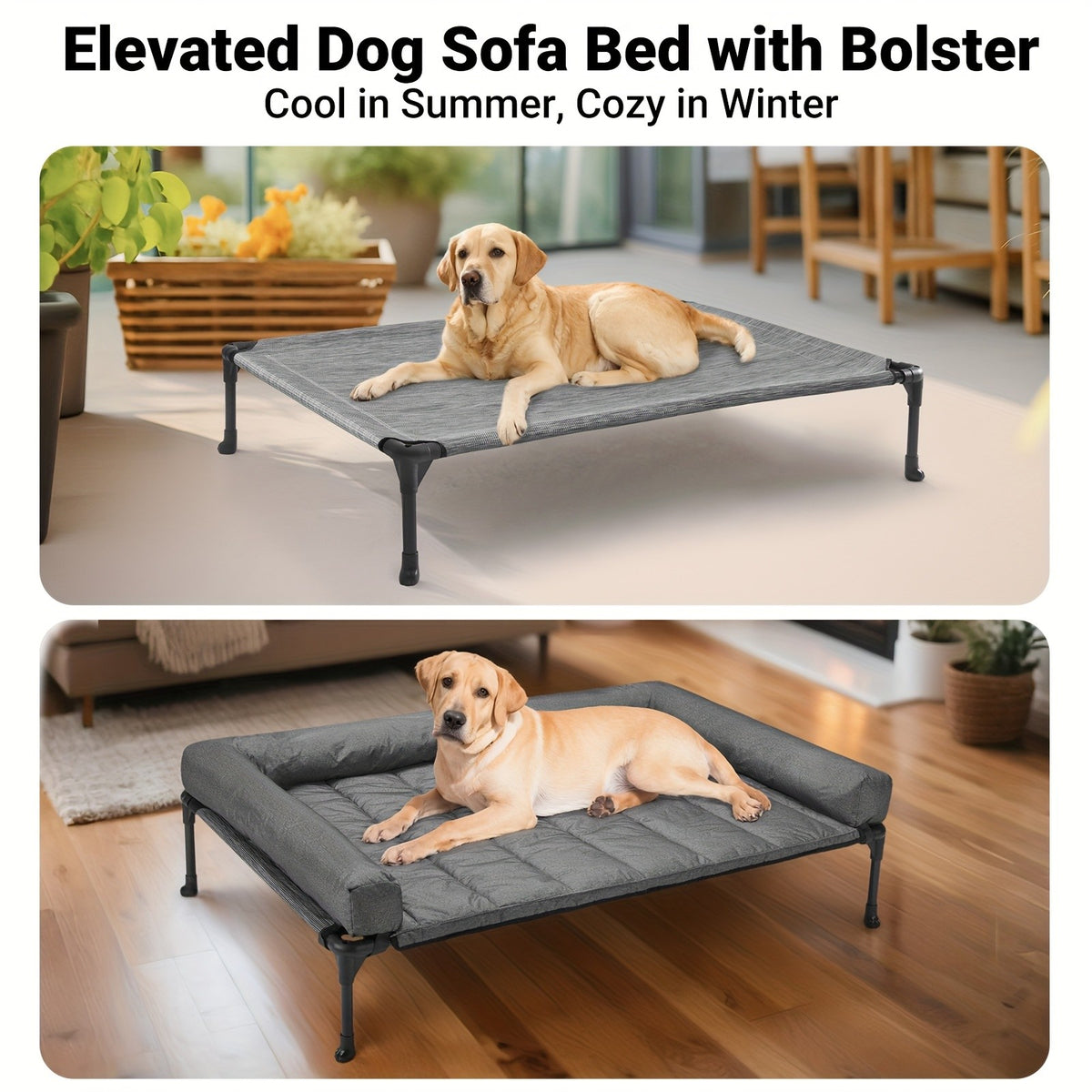 Elevated Dog Bed with Removable Pillow-Top Mat, Three-Sided Bolster Pet Cot with Breathable Teslin Mesh, Steel Frame and Non-Slip Feet in Four Sizes