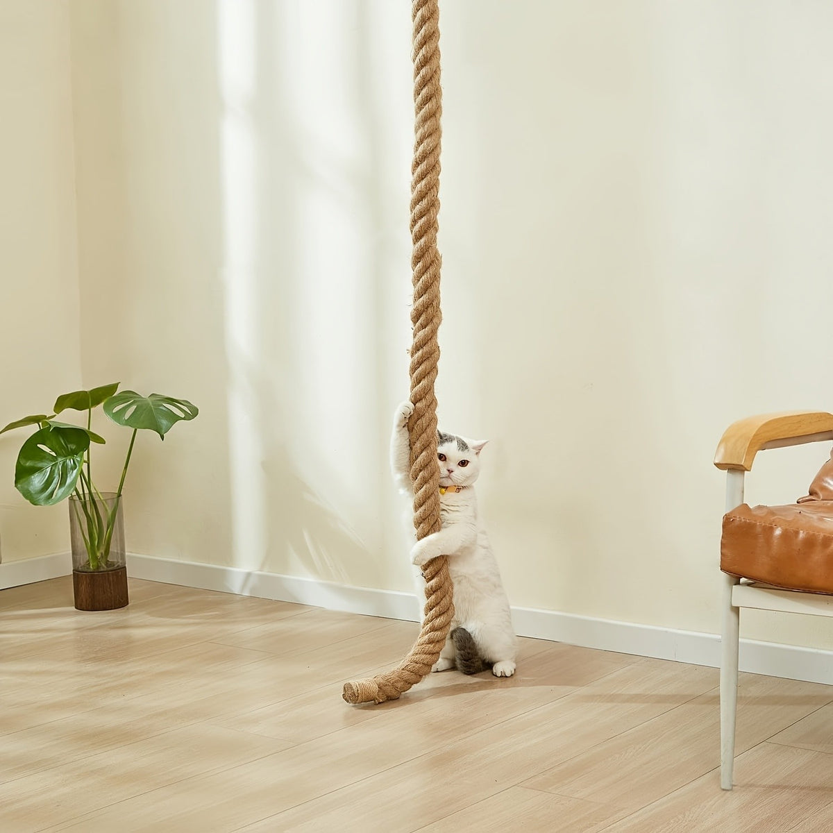 Cat Climbing Rope with Wall Platform, 60 Inch Hemp Rope Wall-Mounted Cat Climber for Indoor Scratching, Vertical Play and Space-Saving Pet Furniture
