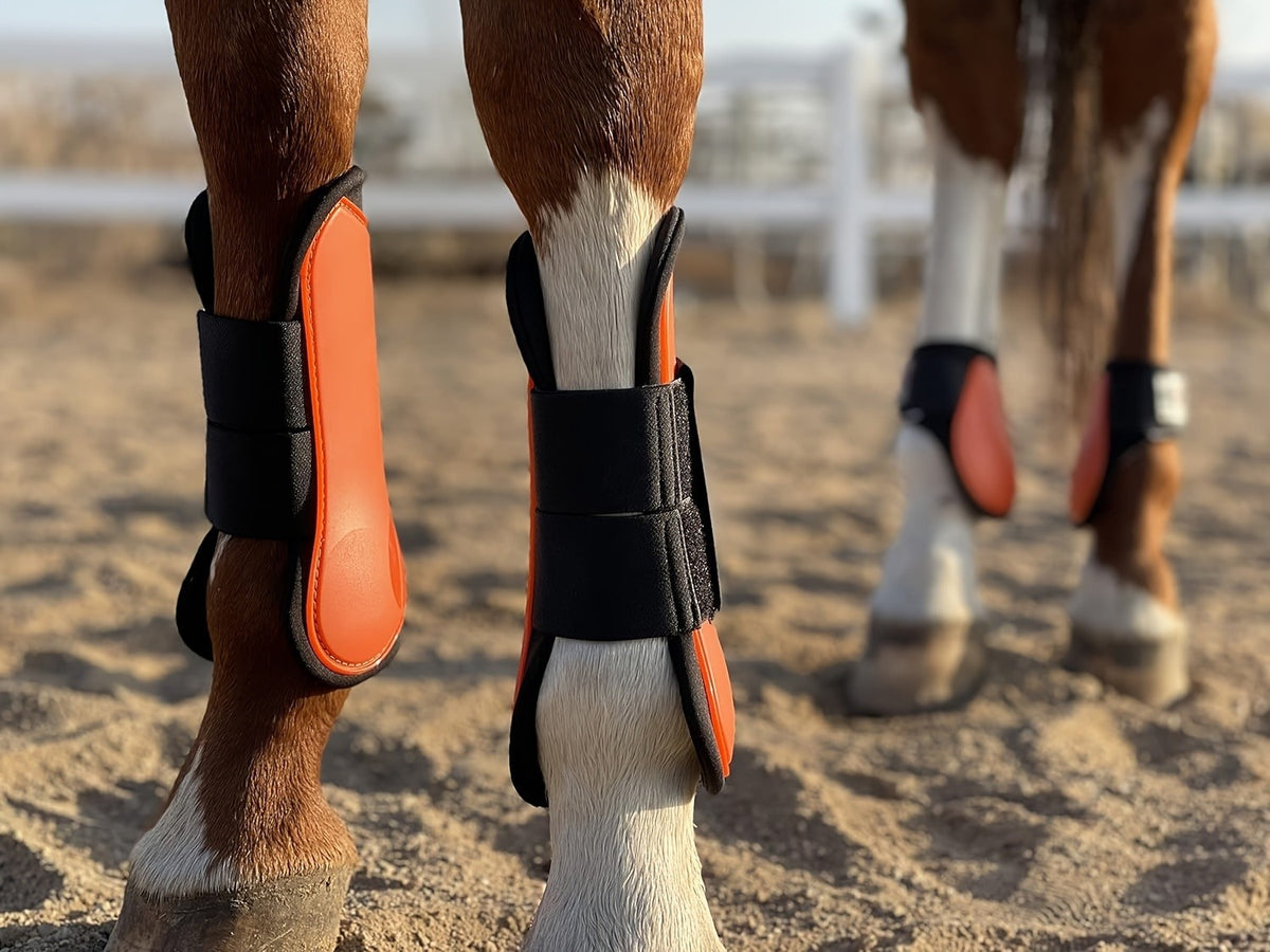 Horse Tendon Boots Set of 4, Open Front and Fetlock Leg Guards in PU and Neoprene for Riding, Jumping and Training, FULL and COB Size Options