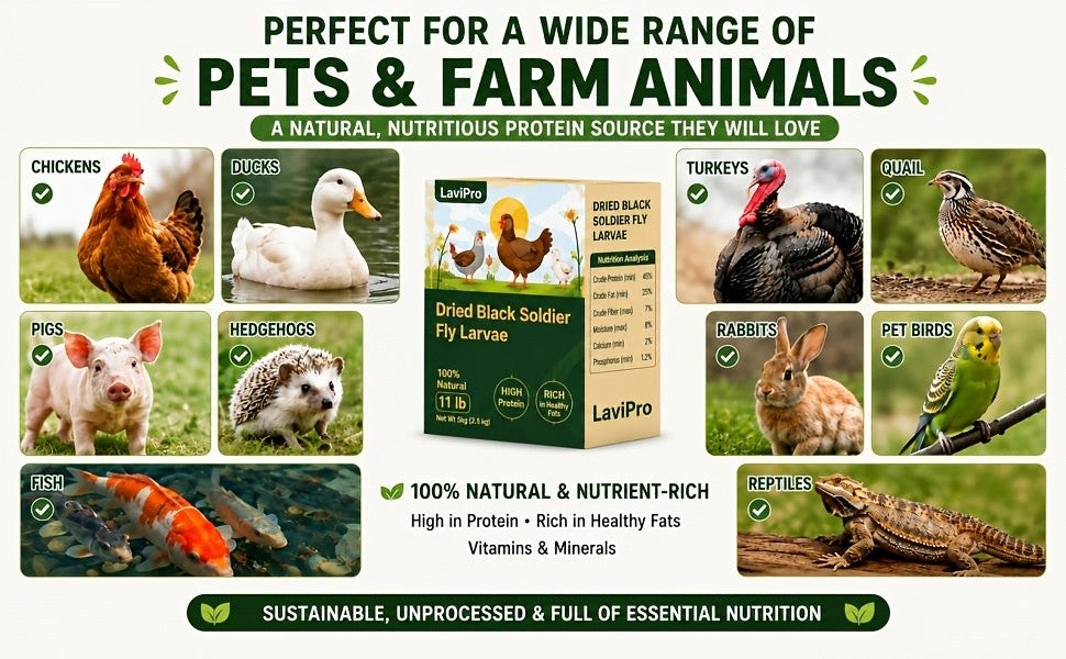Chicken Grub Treats, Dried Black Soldier Fly Larvae in 5.5 lb or 11 lb Packs for Backyard Hens, Ducks and Wild Birds, Supplemental Foraging Snacks