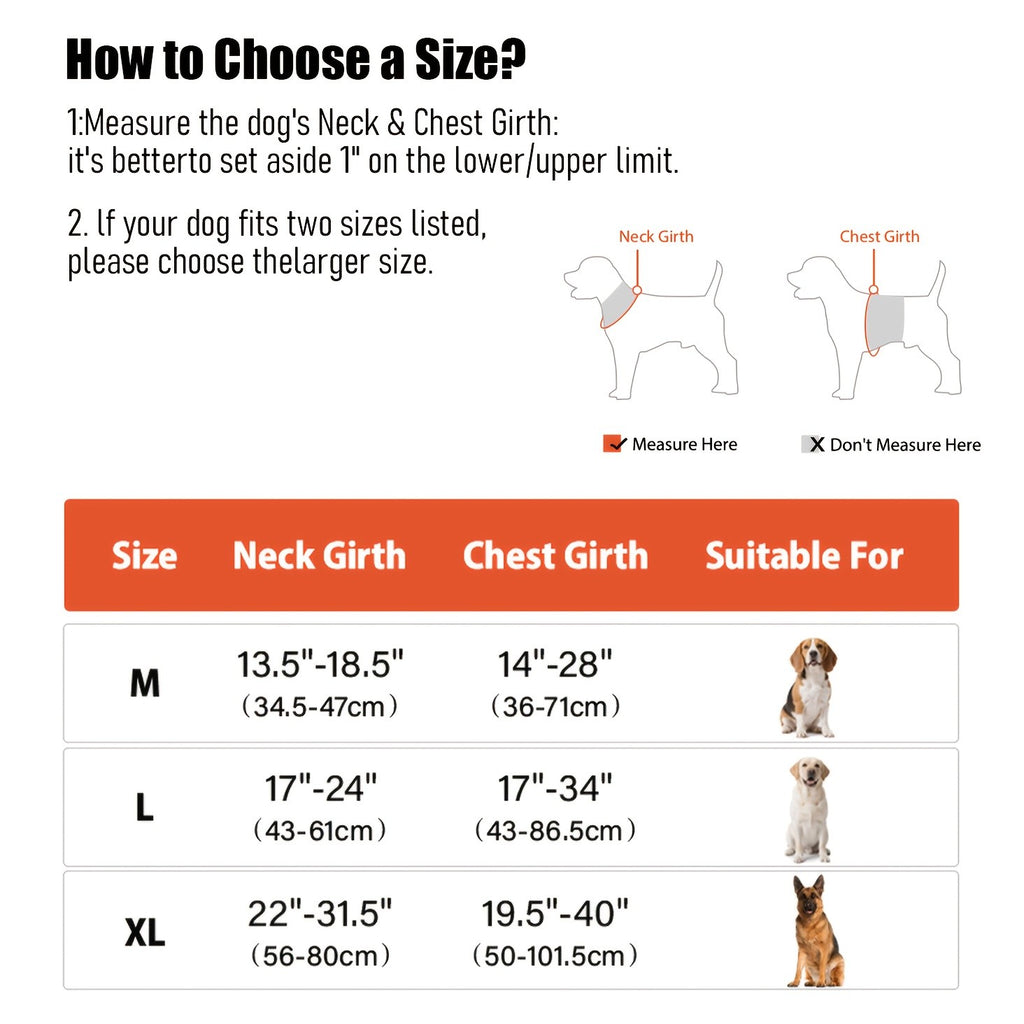 Light Up Dog Harness, Rechargeable LED Night Walking Vest with 3 Lighting Modes, Reflective Strips, Padded Mesh and Adjustable Straps, M L XL