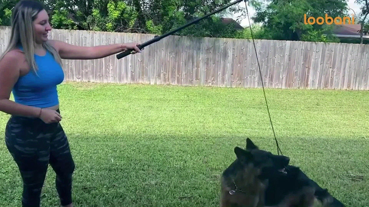 40-Inch Dog Flirt Pole with Telescopic Aluminum Alloy Wand, Non-Slip Handle and Detachable Lure Design for Supervised Chase Play and Training