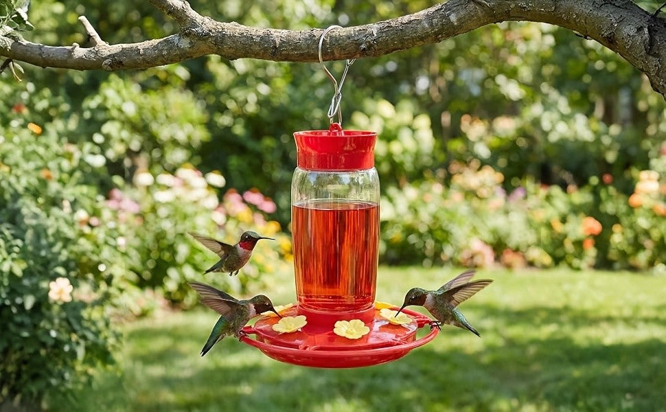 Hummingbird Feeders for Outdoors Hanging, 2-Pack Red 20 oz Nectar Feeders with Ant Moat, Six Flower Feeding Ports and Circular Perch