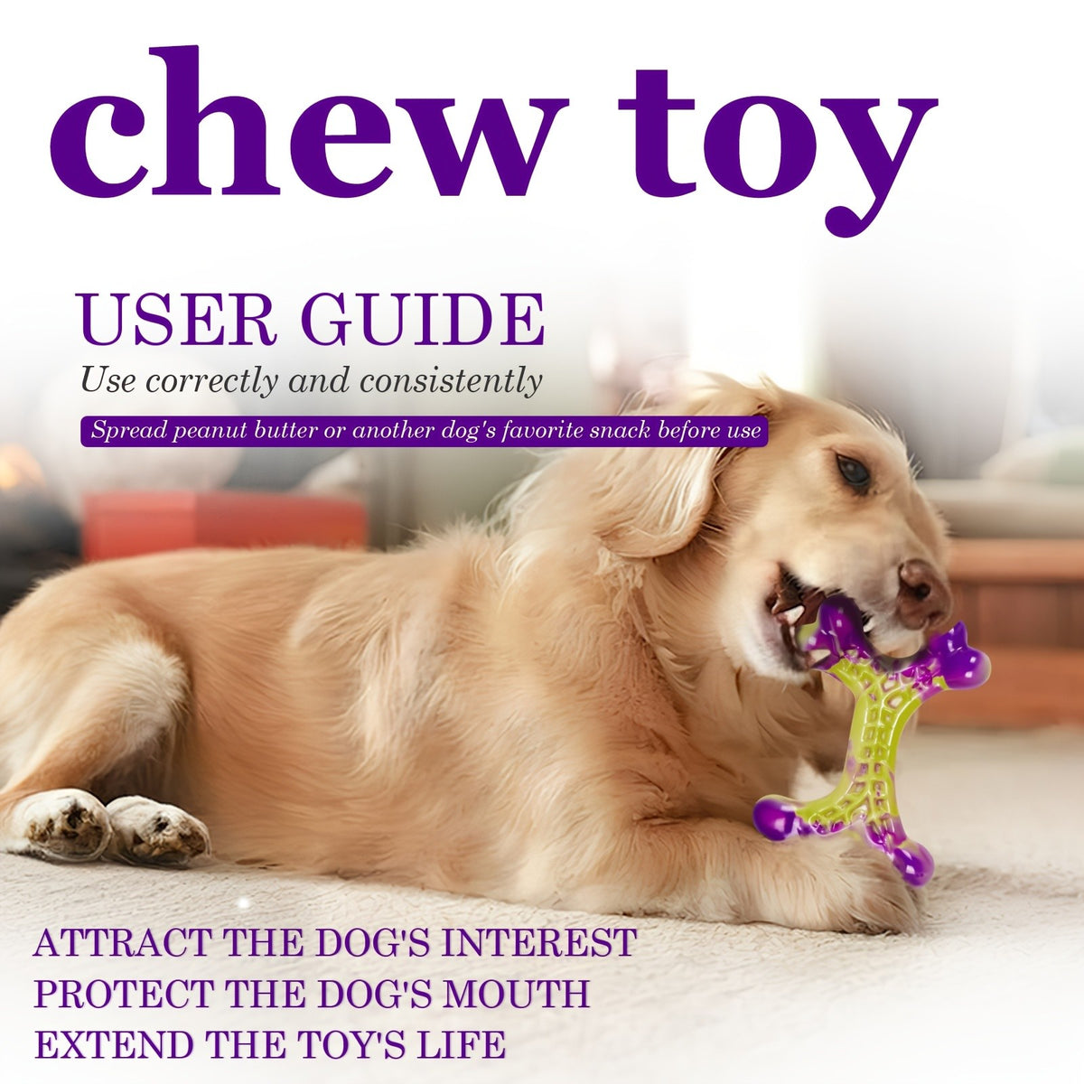 Nylon Dog Chew Bones for Medium and Large Dogs, Beef or Peanut Butter Flavor Options, 1 or 2 Piece Tough Toys for Supervised Chewing