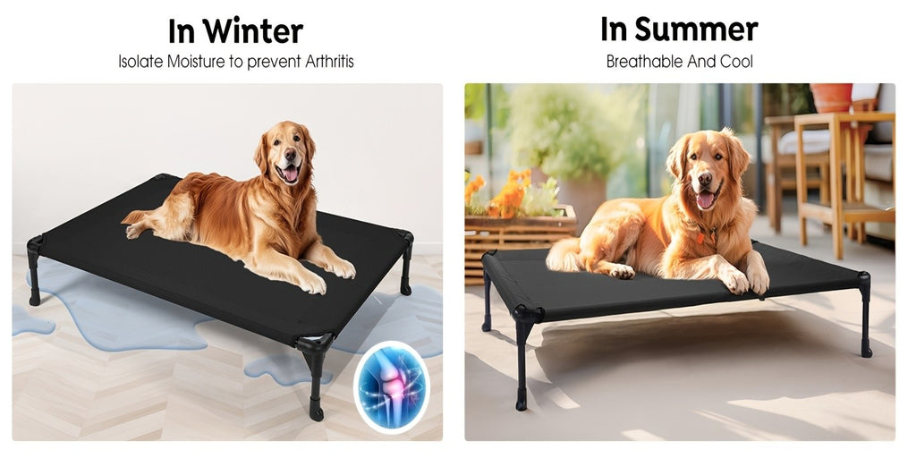 Elevated Dog Bed 2 Pack for Large Dogs, 42 x 30 Inch Breathable Mesh Raised Cots with Non-Slip Feet, Tool-Free Assembly for Indoor, Patio and Camping