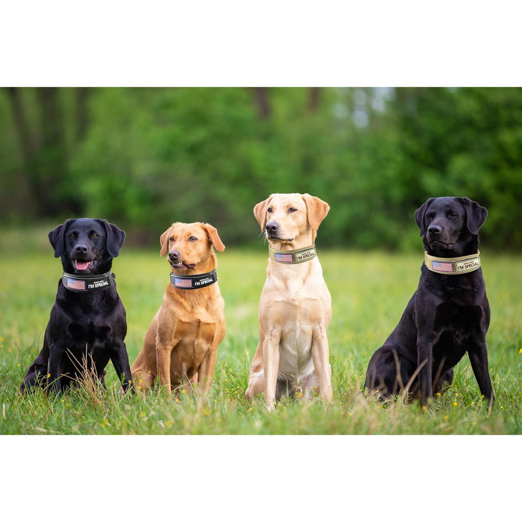 Tactical Dog Collar 2.6 Inch Wide with Padded Control Handle, Reflective Adjustable Nylon and Mesh Collar with Metal Buckle and 2 Patches, M L XL