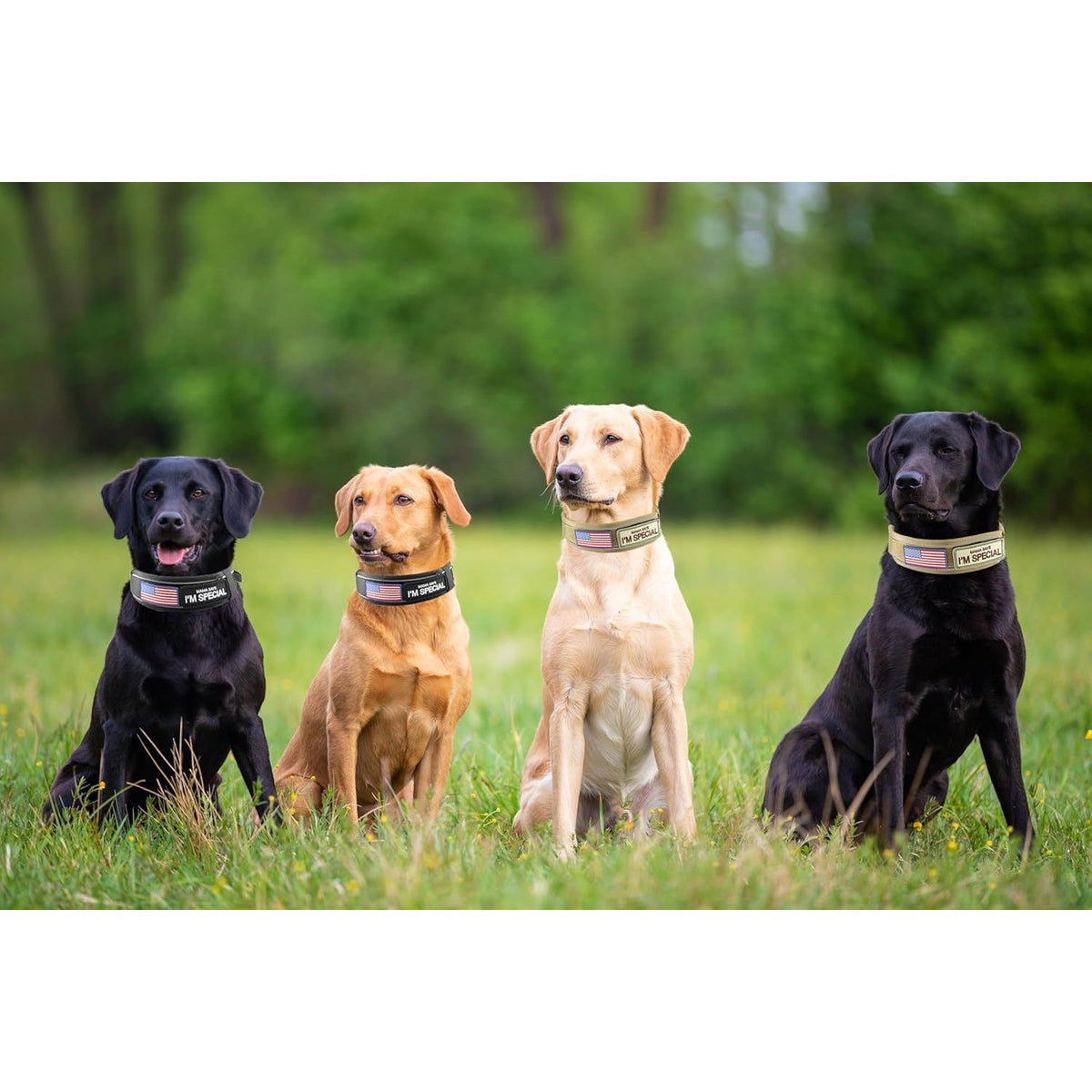 Tactical Dog Collar 2.6 Inch Wide with Padded Control Handle, Reflective Adjustable Nylon and Mesh Collar with Metal Buckle and 2 Patches, M L XL