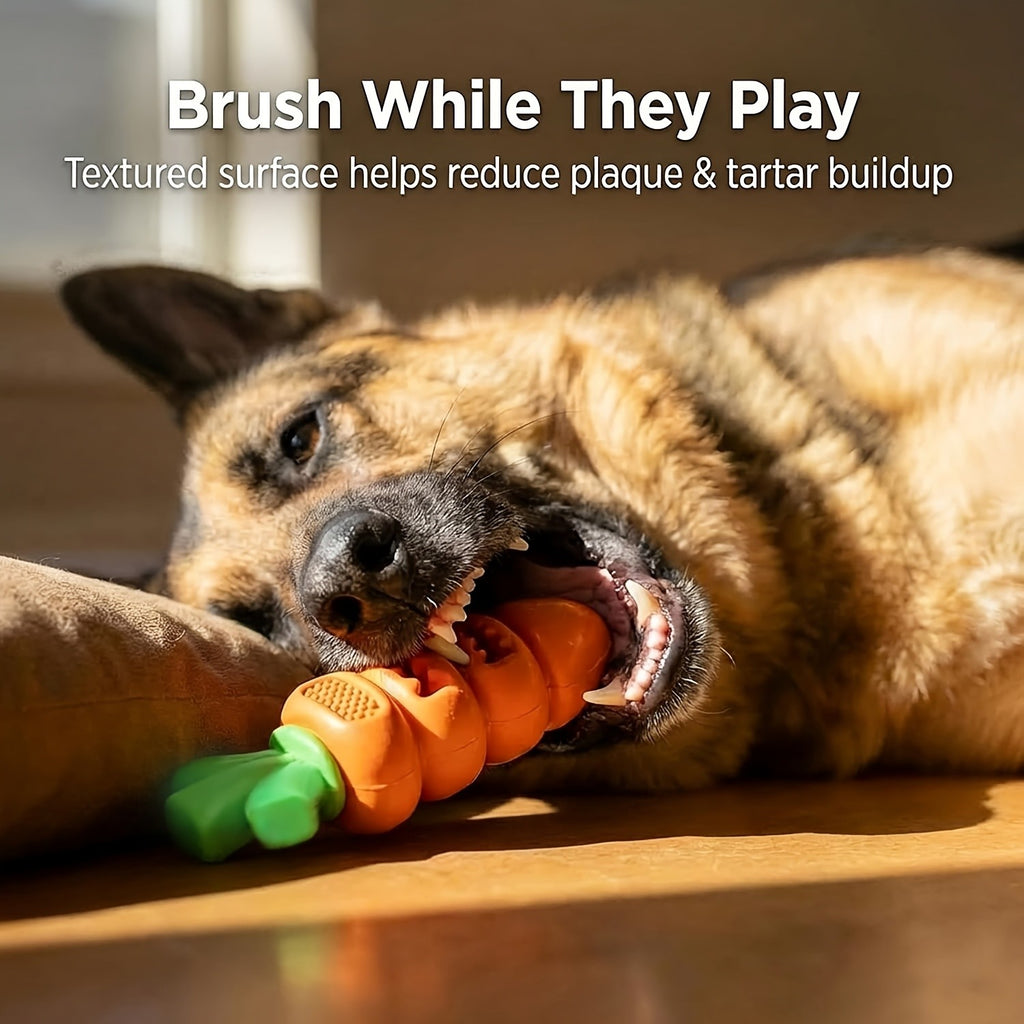 Dog Chew Toy with Beef and Bacon Flavor, Nylon Pet Chewing Toy for Medium and Large Dogs, Bacon-Carrot or 2-Piece Options for Supervised Play