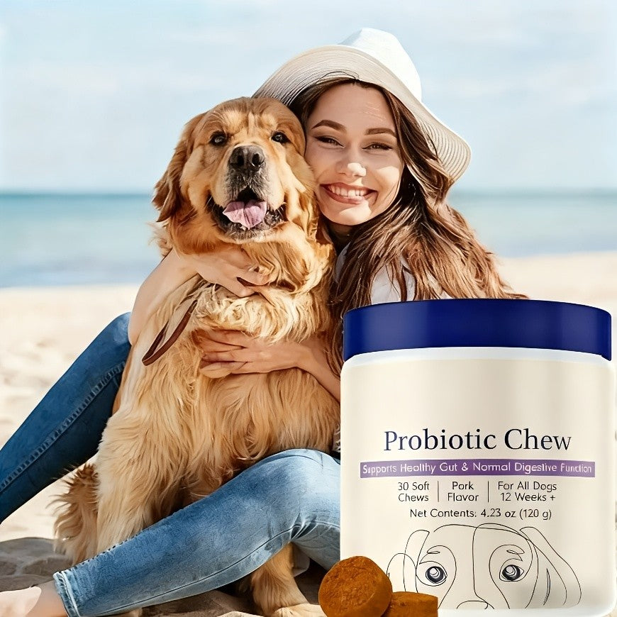Probiotics for Dogs Nutritional Supplement, Promotes Digestion and Absorption, Canine Gut Health Tablets for All Breeds, 12.69 oz 90 Tablets, 3-Pack Daily Digestive Support for Puppies and Adult Dogs