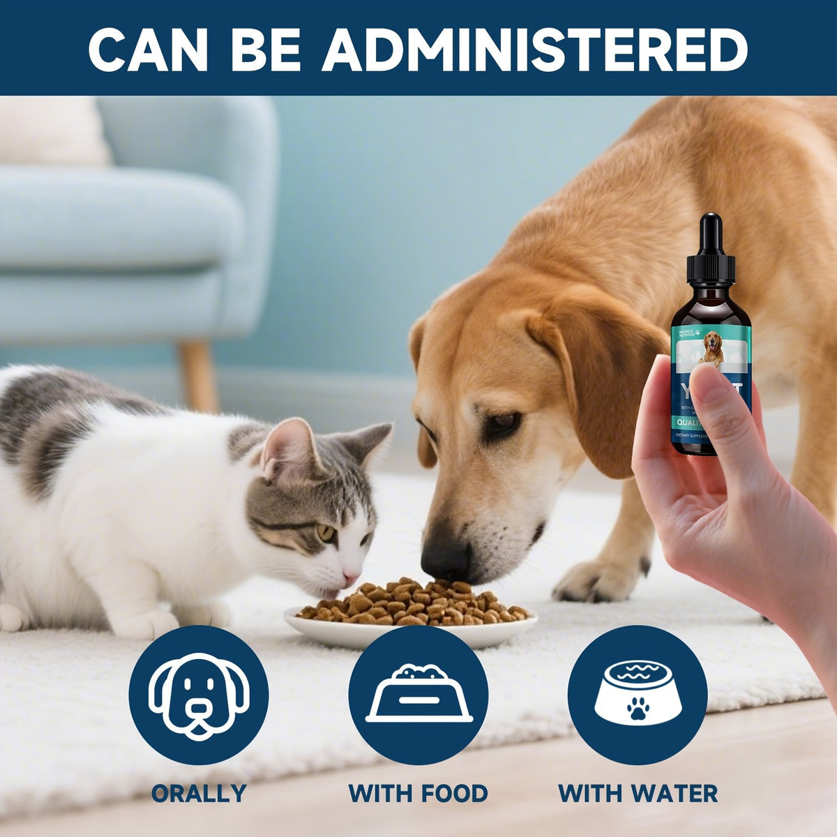 Yeast Health Drops for Dogs and Cats, 2 fl oz (60 mL) Liquid Dietary Supplement in Dropper Bottle with One, Two or Three Bottle Options