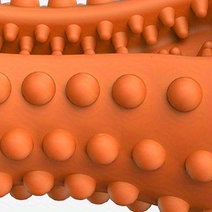 Rubber Dog Chew Bone with Dual Squeakers, Textured Natural Rubber Toy with Beef Scent for Medium and Large Dogs, Interactive Fetch and Supervised Play