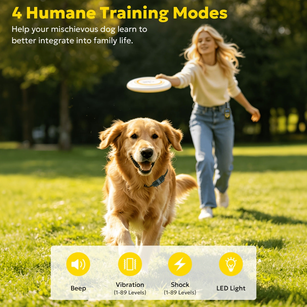 Dog Training Collar with LED Function, Beep, Vibration and Static Stimulation Modes for Supervised Sessions, Available in 1, 2 or 3 Dog Options