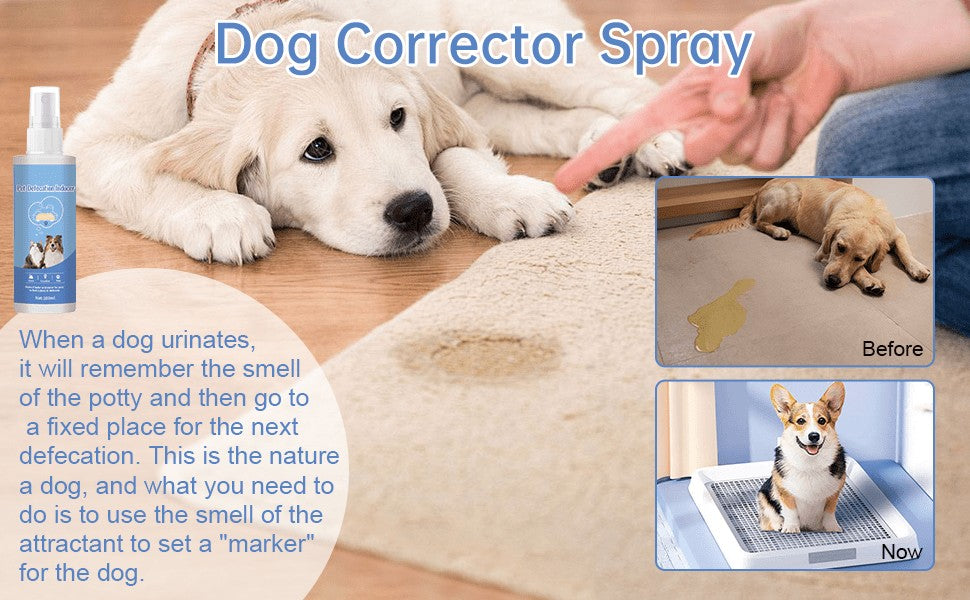 Puppy and Kitten Potty Training Spray, Indoor Pet House Training Aid in Spray Bottles for Consistent Toilet Routines, 2 or 4 Piece Pack Options