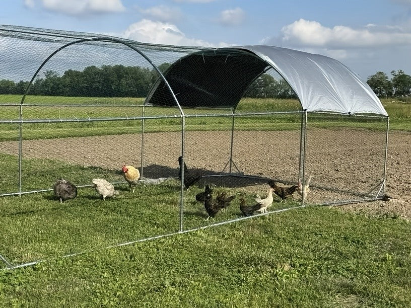 Metal Chicken Coop with UV-Resistant Cover, Walk-In Outdoor Poultry Enclosure for Backyard Hens with Flat, Dome or Spire Roof Options