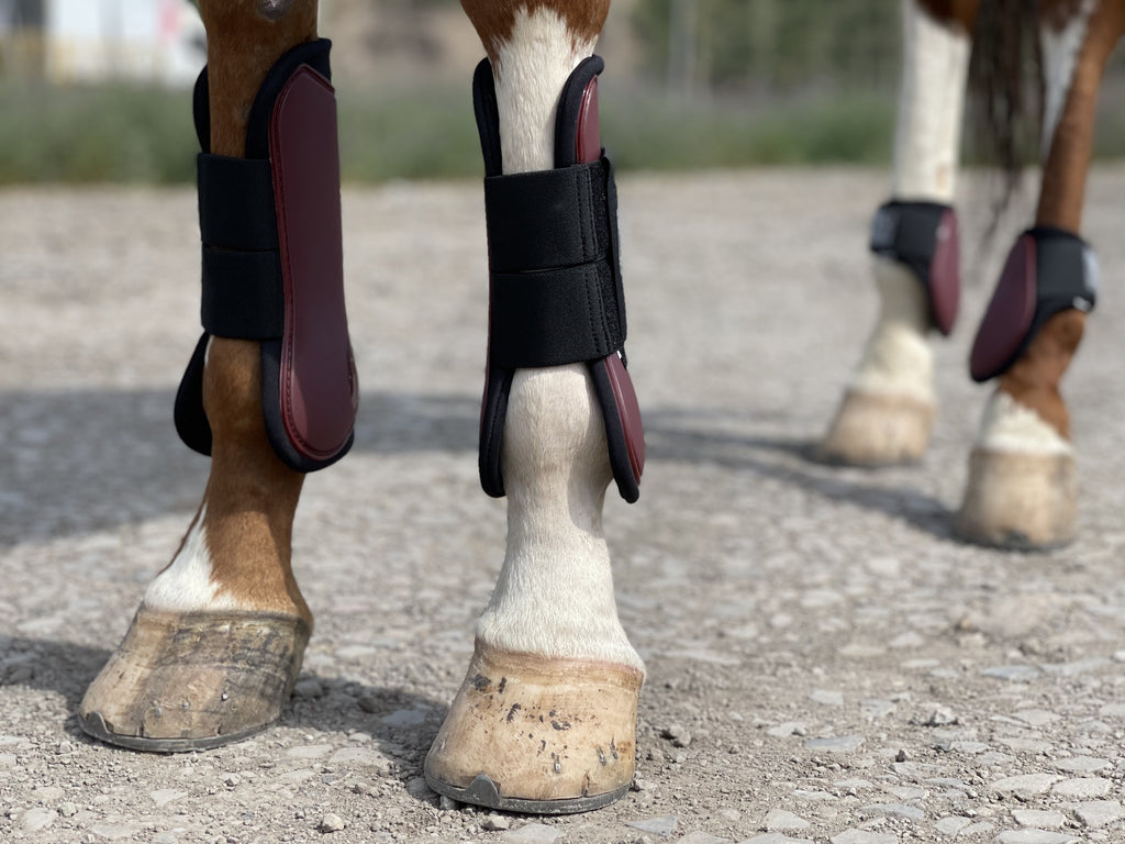 Horse Tendon Boots Set of 4, Open Front and Fetlock Leg Guards in PU and Neoprene for Riding, Jumping and Training, FULL and COB Size Options