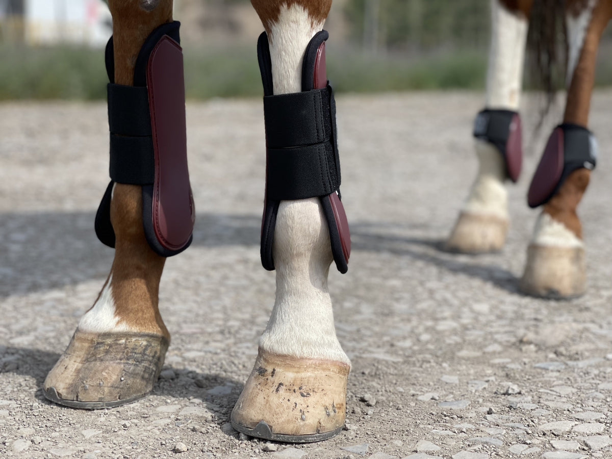 Horse Tendon Boots Set of 4, Open Front and Fetlock Leg Guards in PU and Neoprene for Riding, Jumping and Training, FULL and COB Size Options