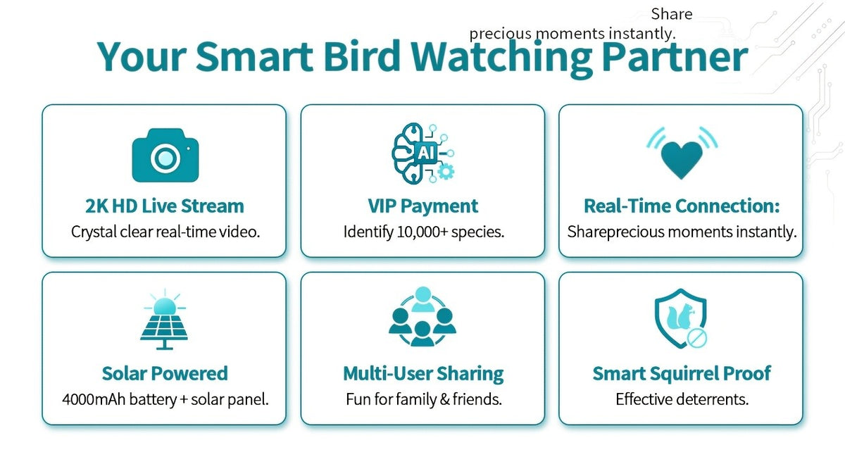 Smart Bird Feeder with Camera, Solar Powered 2K Live View with 4MP Lens, Motion Alerts and AI Bird Recognition for Backyard Bird Watching