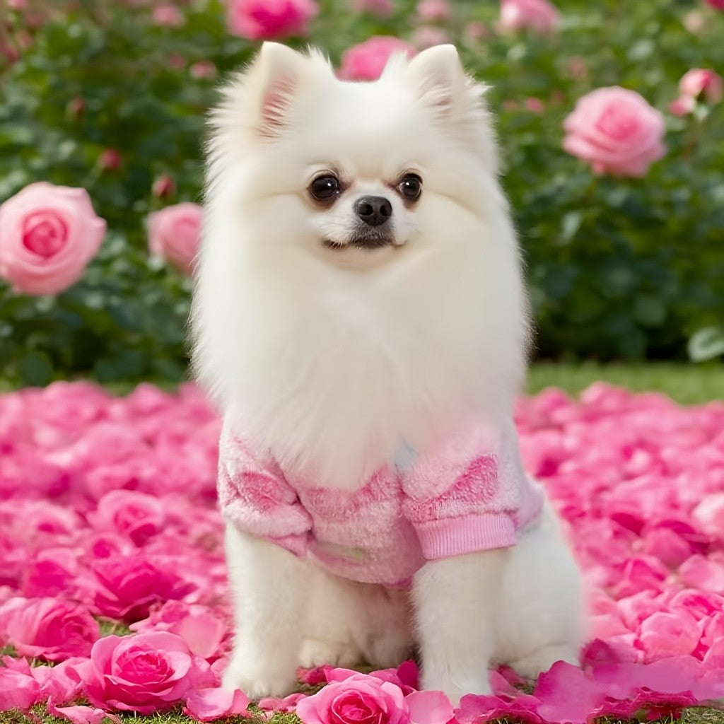 Winter Dog Clothes for Small and Medium Dogs, Soft Puppy Sweater Outfit in XS-XXL for Cool Weather Walks, Seasonal Wear and Pet Photos