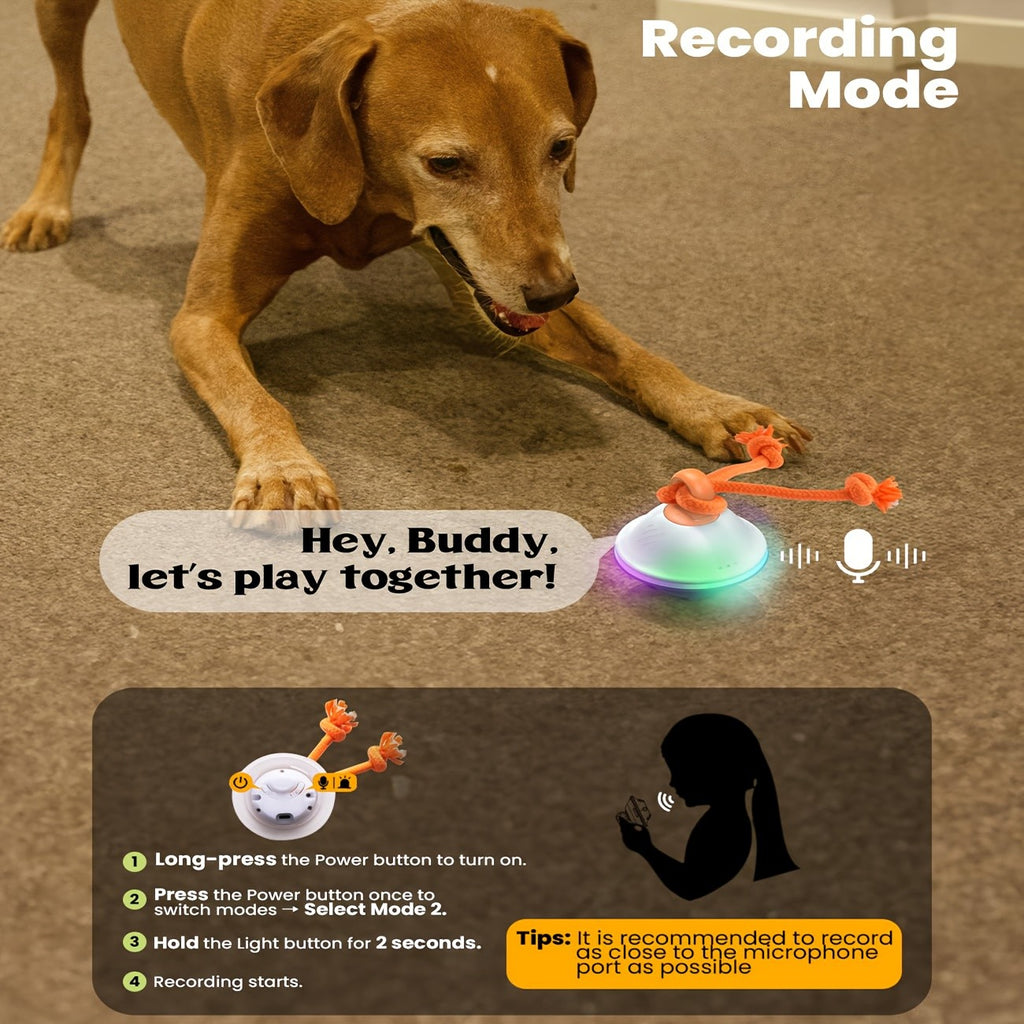 Automatic Rolling Dog Ball with Voice Recording and Rope, Interactive Moving Puppy Toy for Small and Medium Dogs, Supervised Chase Play