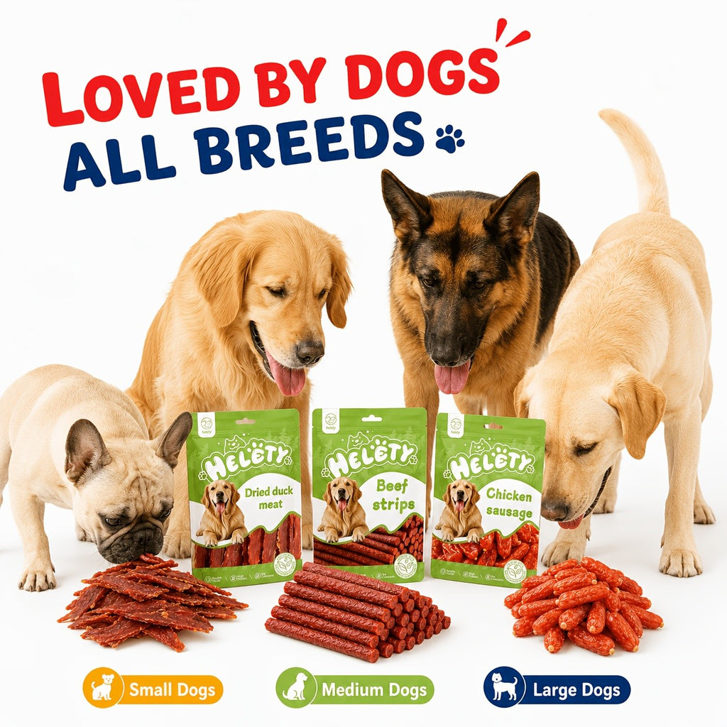 Dog Training Reward Treats in Duck 100g Pack, Chewy Dog Snacks for Supervised Practice Sessions, Everyday Treat Time and Dog Lover Gift Baskets