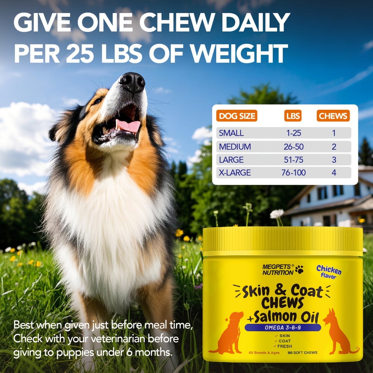 Omega 3 Dog Chews with Probiotics, 90 Count Skin and Coat Supplement for Canine Daily Care, Available in One, Two or Three Bottle Packs
