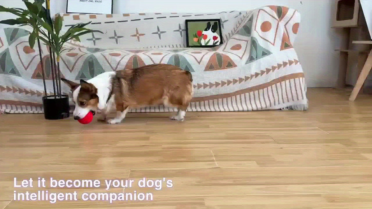 Rechargeable Bouncing Dog Ball with 3 Interactive Modes and Obstacle Avoidance, Orange Soft-Surface Moving Chase Toy for Medium and Large Dogs