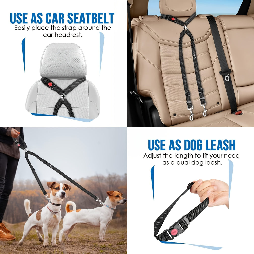 Dual Dog Car Seat Belt with Adjustable Headrest Loop, Two Bungee Tether Straps and Metal Clips for Two-Dog Travel in Red, Rose Red or Black