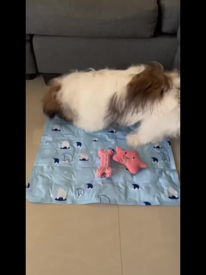 Dog Gel Cooling Pad for Summer, Extra Large Self-Cooling Pet Mat for Indoor Floors, Outdoor Resting Spots, Crates and Car Seats