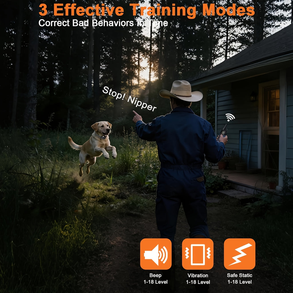Dog Training E Collar with Security Lock, Remote Beep, Vibration and Static Modes, Orange, Blue or Green Options for 1 or 2 Dogs