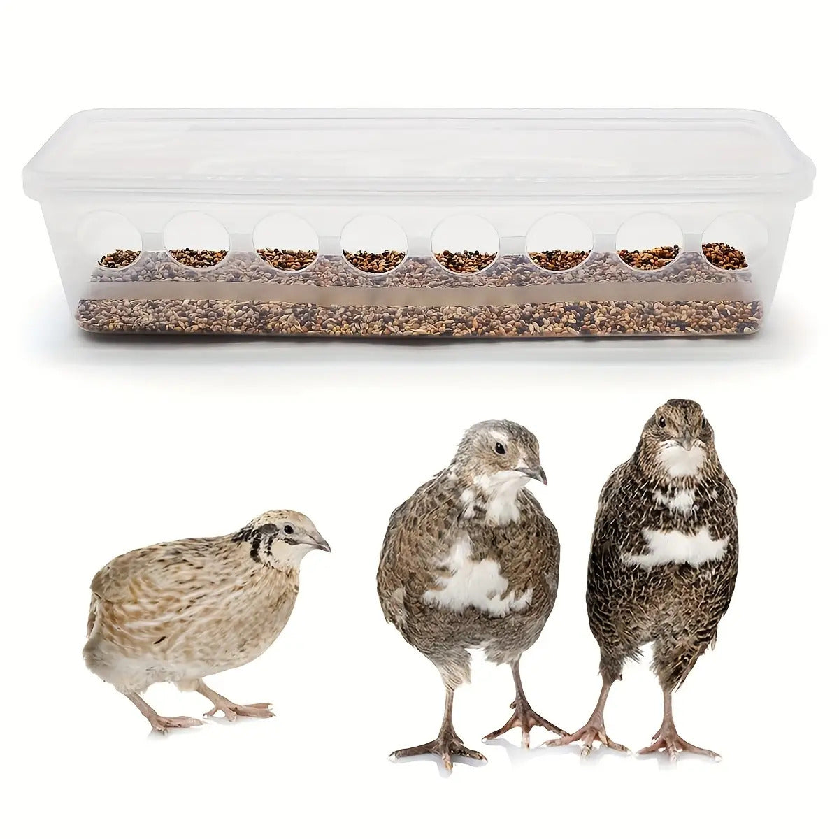 Gravity Bird Feeder with 8 Feeding Ports, Transparent Plastic Food Dispenser with Flip-Top Lid for Pigeons, Quail, Chickens and Ducks, 1 Piece