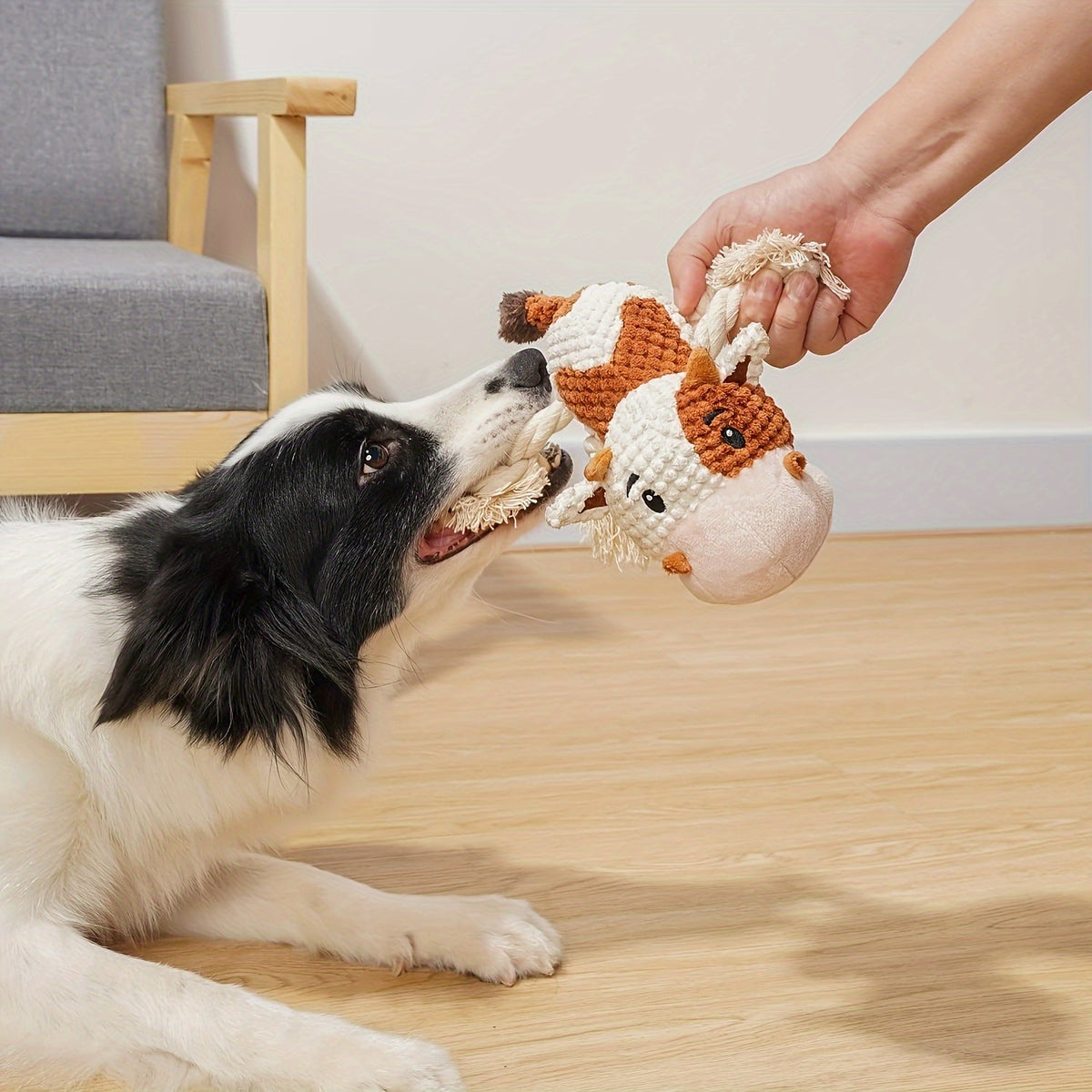 Cow Dog Toy with Knotted Rope Legs, 8-Inch Squeaky Crinkle Plush Pet Toy for Supervised Gentle Tug of War, Fetch and Interactive Puppy Play