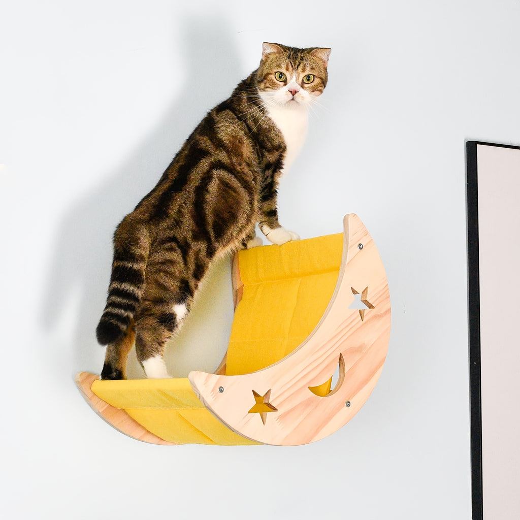 Cat Wall Climbing Frame with 3 or 5 Levels, Solid Wood Wall-Mounted Cat Furniture for Indoor Scratching and Play, Optional Hammock Combination