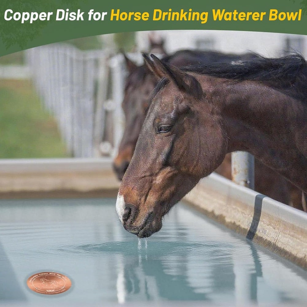 Horse Water Trough Copper Discs, 2-Pack 4-Inch Horse Pattern Inserts with Three-Point Support, Reusable Accessories for Compatible Drinking Containers