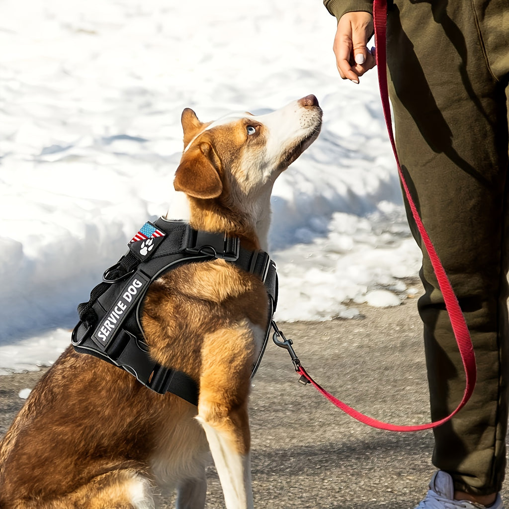 Reflective Dog Harness and Leash Set, 3-Piece Large Dog Walking Kit with Double-Layer Collar and Soft Handle for Daily Walks and Training