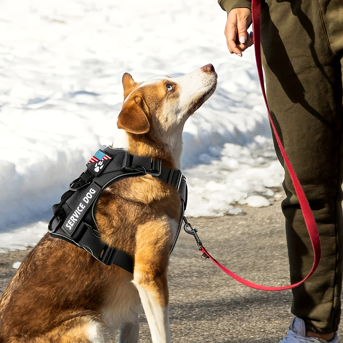 Reflective Dog Harness and Leash Set, 3-Piece Large Dog Walking Kit with Double-Layer Collar and Soft Handle for Daily Walks and Training