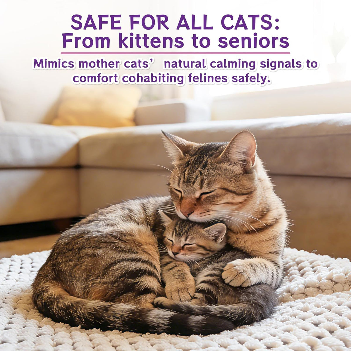 Pheromone Calming Refills for Cats and Dogs, 2-in-1 or 6-in-1 Liquid Replacement Options for Compatible Diffusers and At-Home Pet Routines