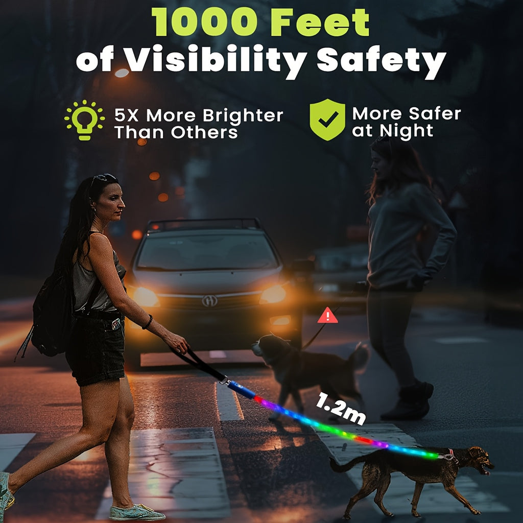 LED Dog Leash 4ft with 13 Lighting Modes, Type-C Rechargeable Light Up Walking Lead with Padded Handle and Swivel Hook for Evening Outings