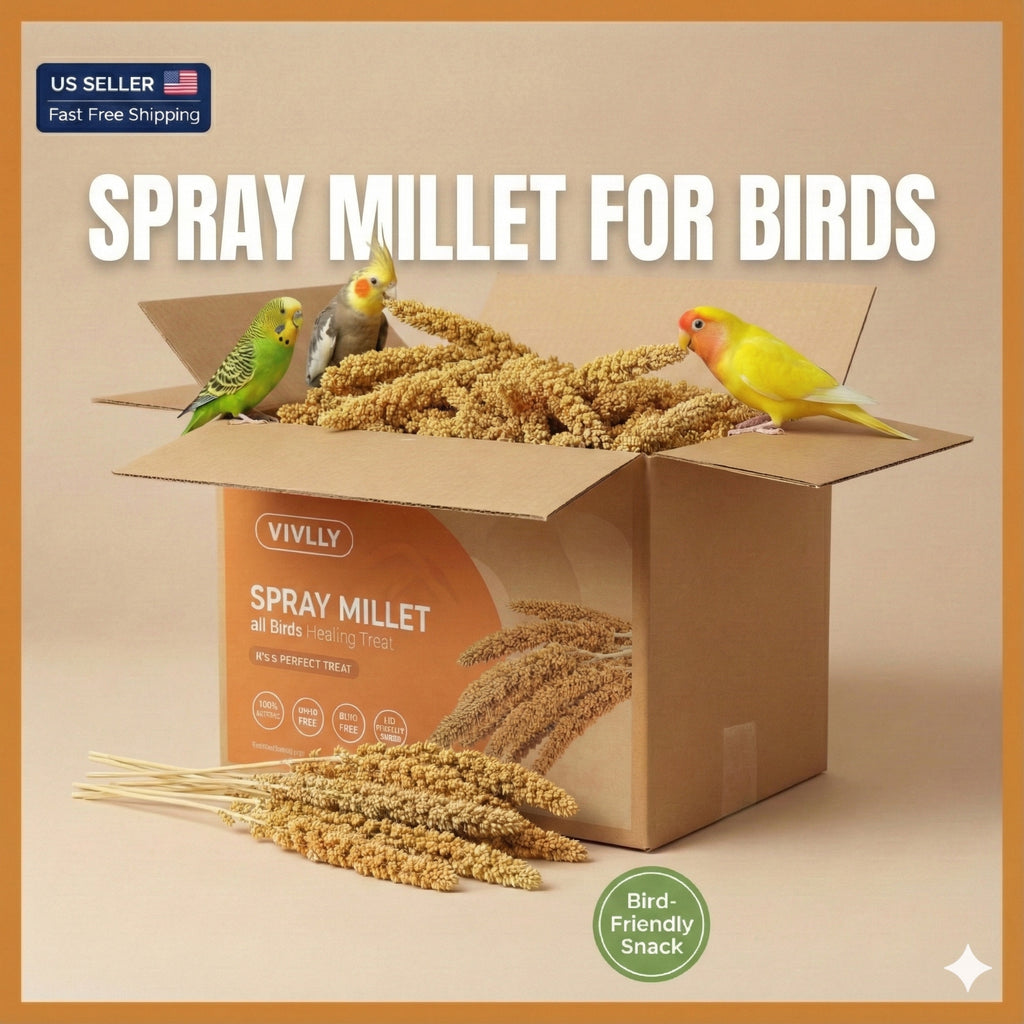 Millet Spray for Birds, Golden Seed Treats for Parakeets, Budgies, Cockatiels, Finches and Canaries, 5 lb Bulk or 2 Long Spray Options