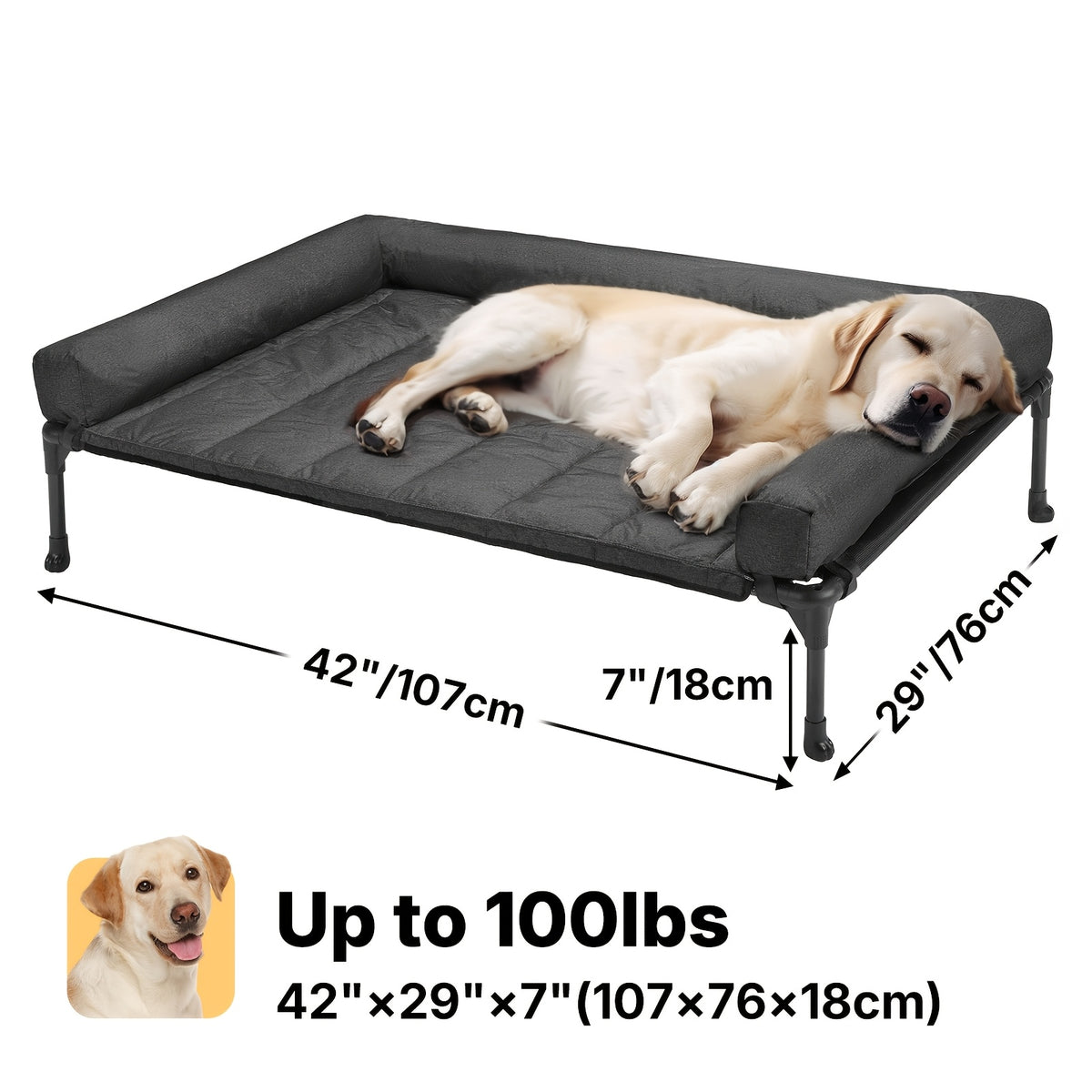 Elevated Dog Bed with Removable Pillow-Top Mat, Three-Sided Bolster Pet Cot with Breathable Teslin Mesh, Steel Frame and Non-Slip Feet in Four Sizes