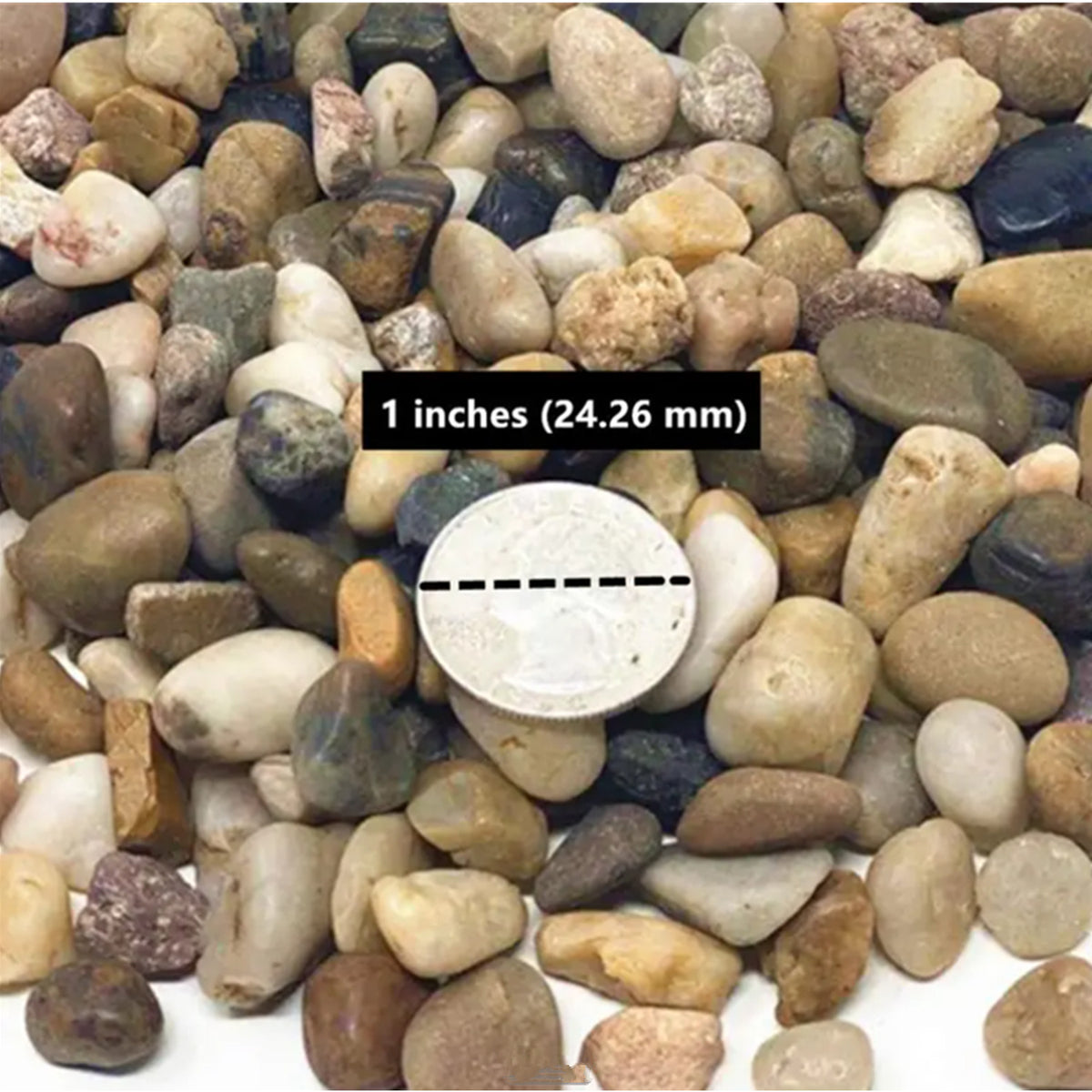 Small River Rocks, 10 lb in 10 Bags, 1/2-Inch Natural Decorative Pebbles for Aquarium Layouts, Plant Pots, Vase Fillers and Landscaping