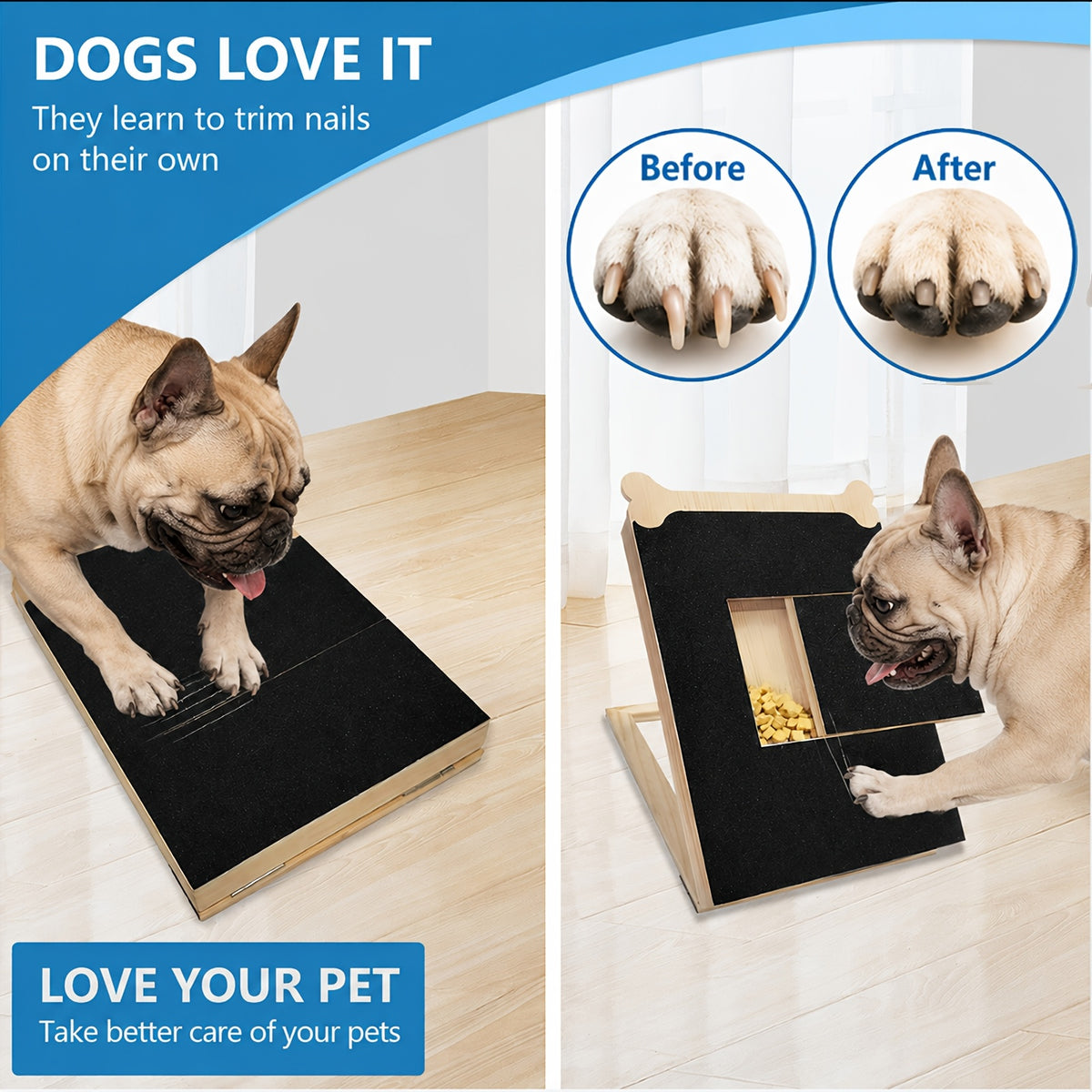 Dog Nail Scratch Board with Treat Box and Mini Handheld File, 2-in-1 Paw Filing Pad for Small, Medium and Large Dogs, At-Home Grooming Set