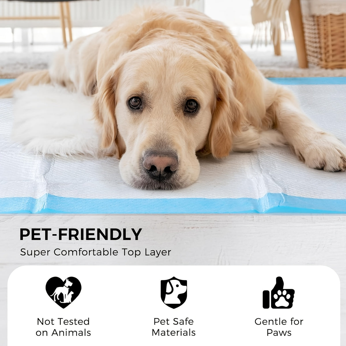 Dog Pee Pads 32 x 59 Inch, 40 Count Extra Large Disposable Puppy Potty Training Pads with Absorbent Core and Leak-Resistant Backing for Home Cleanup